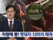 불명확한 사실을 단정 보도한 지상파·뉴스 프로그램 무더기 ‘행정지도’ 반론 보도를 후속 보도한 ‘MBC 뉴스데스크 울산’은 ‘문제없음’