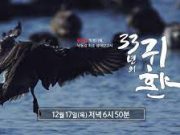 KNN 다큐 ‘33년의 귀환’, 한국민영방송대상 수상 “자연과 인간의 ‘공존’을 조명한 방송 저널리즘의 수작”
